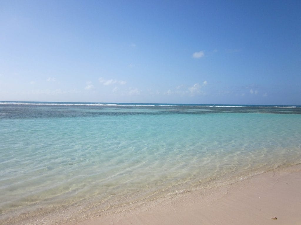 discover the enchanting beauty of guadeloupe, a caribbean paradise known for its stunning beaches, vibrant culture, and lush landscapes. explore its rich history, indulge in delicious local cuisine, and experience an unforgettable island adventure.