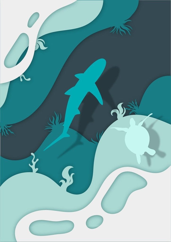 explore the thrilling and terrifying world of shark attacks. discover the facts, statistics, and expert insights behind these ocean encounters, as well as safety tips for beachgoers. join us as we dive into the myths and realities of one of nature's most feared predators.