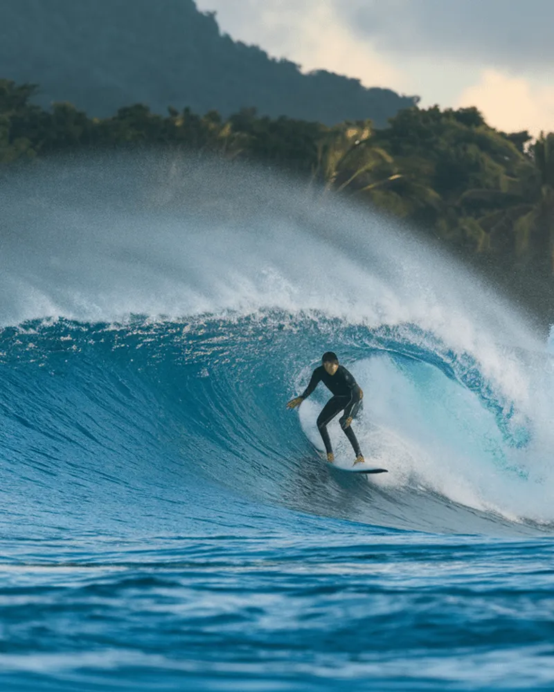 Bulletin Conditions Surf — Surf Guadeloupe : Guide Complet des Spots de l'Île Papillon