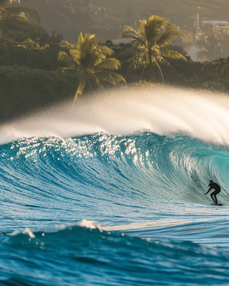 Compétition surf — Surf Guadeloupe