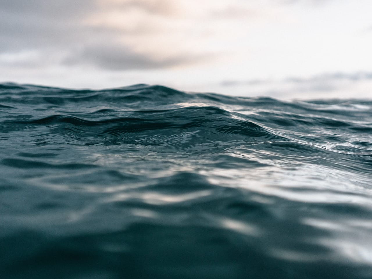 embark on an unforgettable surf trip, exploring the world's top surf destinations. ride the waves, experience vibrant beach culture, and connect with fellow surf enthusiasts. perfect for all skill levels, your adventure awaits!