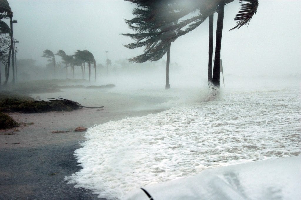 explore the fascinating dynamics of hurricanes, their formation, impacts, and the latest research on hurricane prediction and safety measures. understand how to prepare for hurricane seasons and the importance of staying informed.