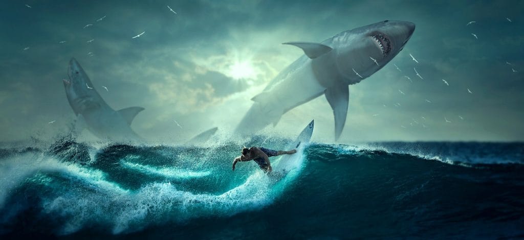 explore the chilling reality of shark attacks – their causes, statistics, and survival stories. discover the truth behind these ocean predators and learn how to stay safe while enjoying the seaside.