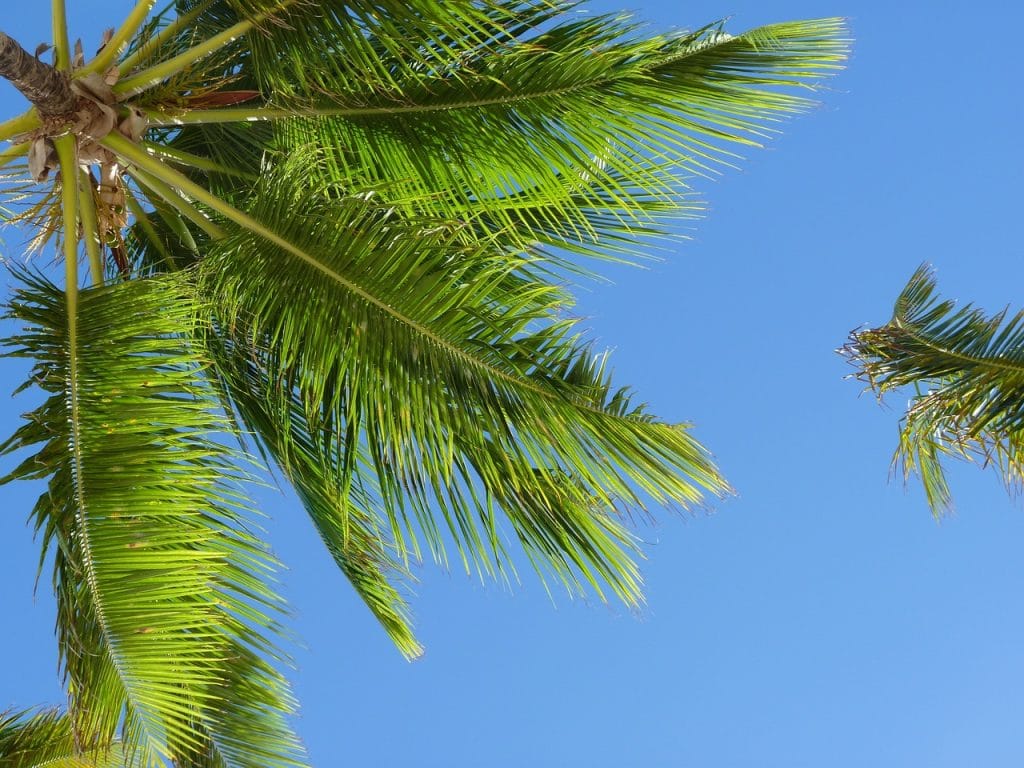 explore the enchanting beauty of the caribbean, where crystal-clear waters, white sandy beaches, and vibrant cultures await. discover tropical escapes, adventure activities, and unique culinary experiences in this paradise of islands.